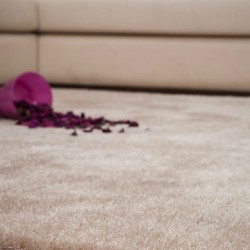 Високоворсний килим Lalee Paris 850 Sand  - Висока якість за найкращою ціною в Україні